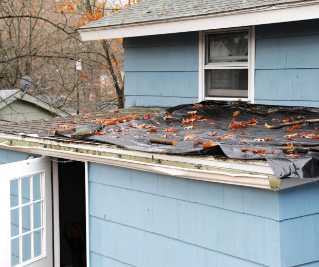 If you're roof is falling apart, it may be time to replace it. This guide will teach you the six different signs you need a new roof.