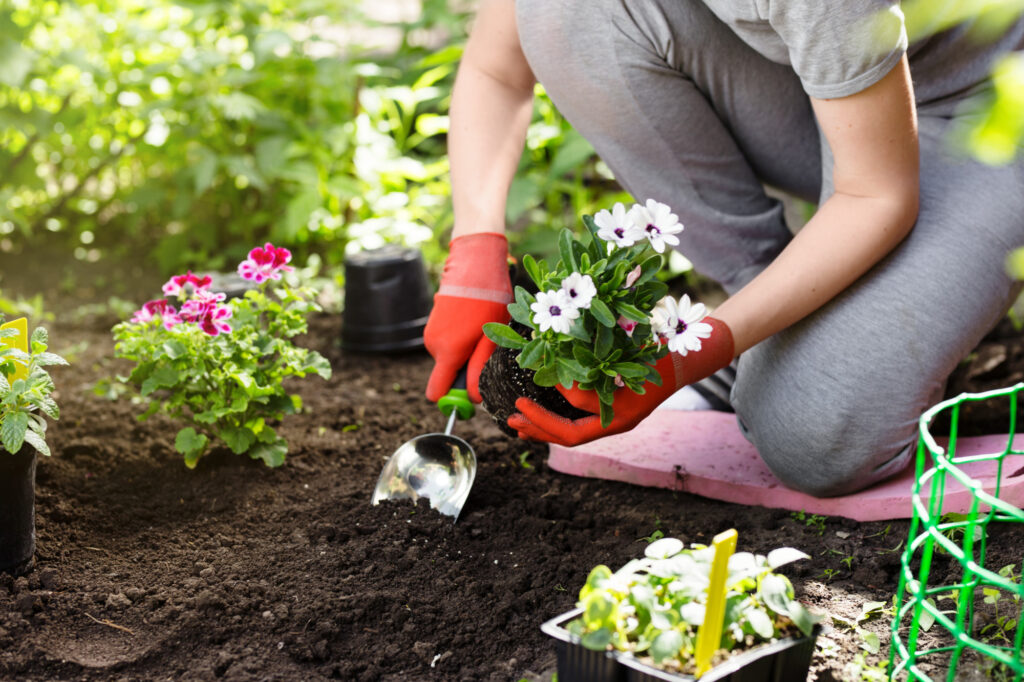 Are you bogged down by life's everyday stresses? You need a peaceful garden to improve your mental health. Here are the reasons why.