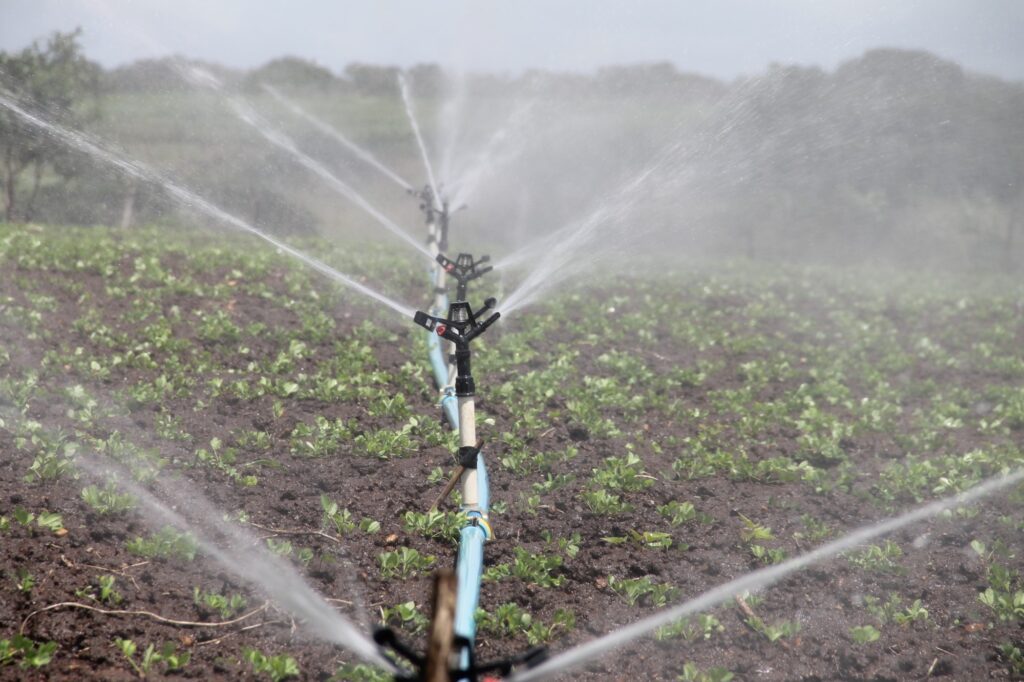 Irrigation is often regarded as one of the hallmarks of human civilization. Here's what you need to know about the history of irrigation and its uses today.