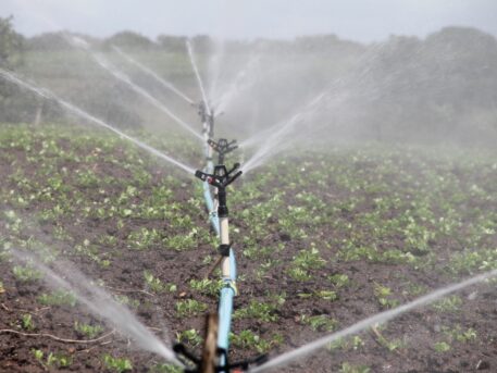Irrigation is often regarded as one of the hallmarks of human civilization. Here's what you need to know about the history of irrigation and its uses today.