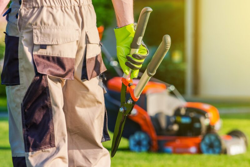 Are you getting ready to hire a lawn care company? Here are some important questions you should ask the best landscaping company in your local area.