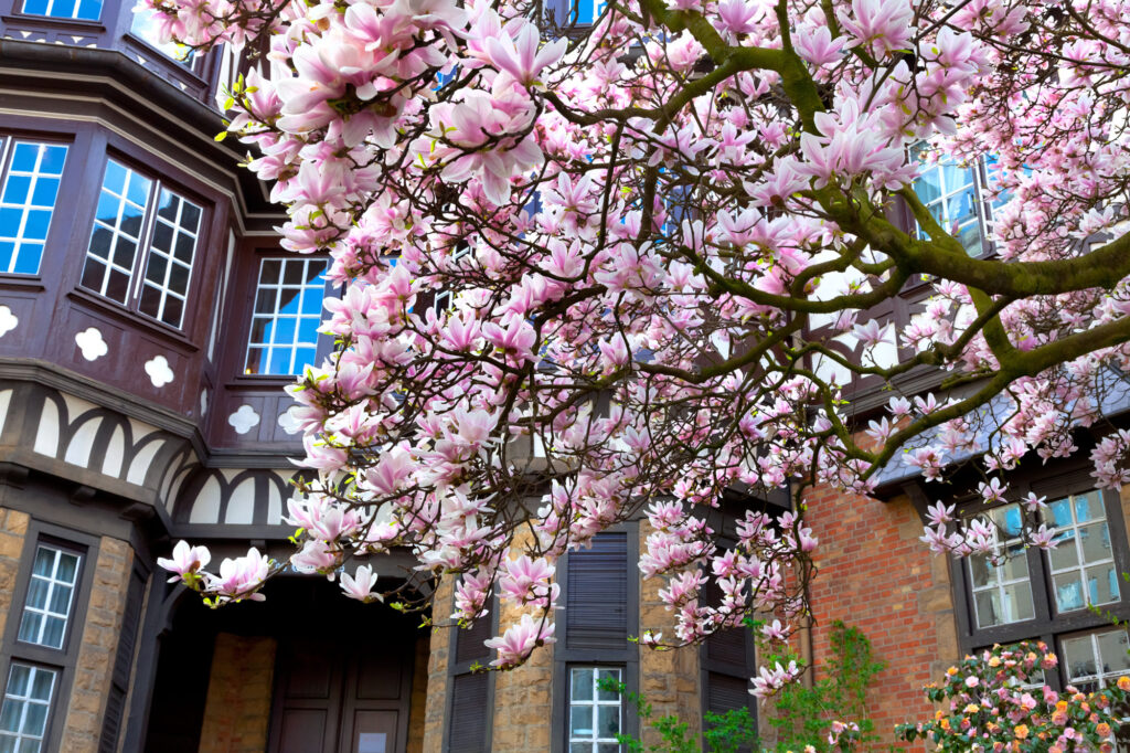 92a88690a8a2952f594b1fc8c63a0e28