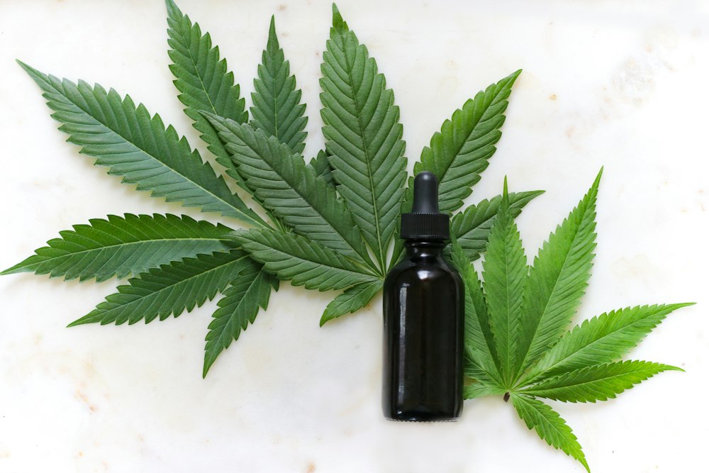 A Beginner's Guide To Buying Cannabis For The First Time