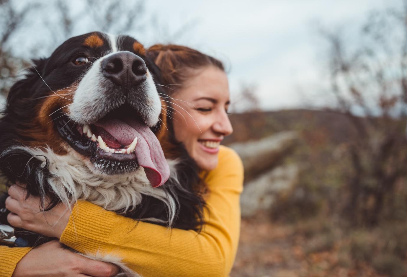 How Does The Bond Between Humans And Pets Increase Community Interaction?